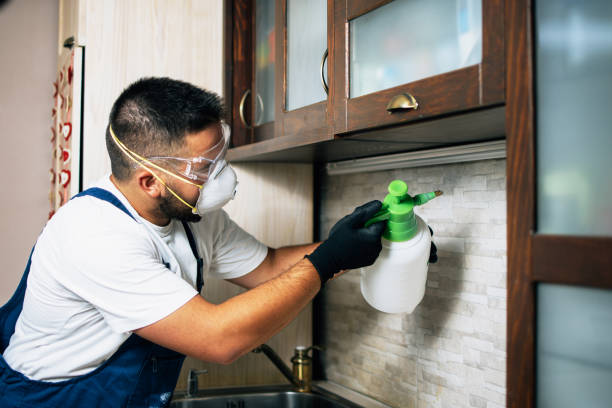 Best Pest Prevention Services  in Montpelier, OH