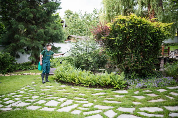Best Affordable Pest Control Services  in Montpelier, OH