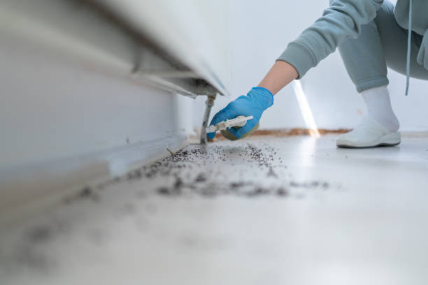 Best Ant Control Services  in Montpelier, OH