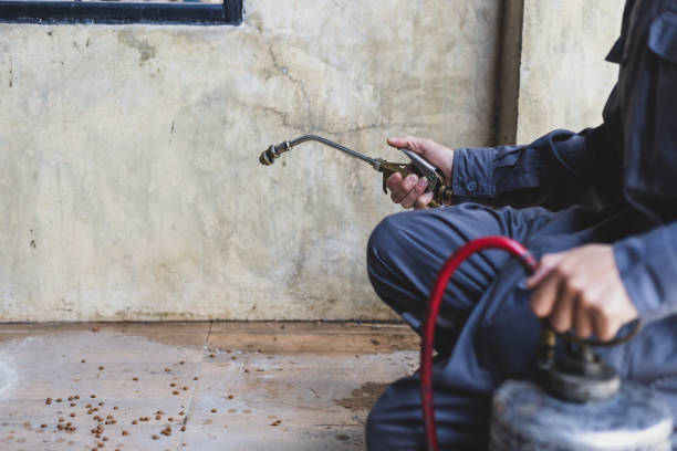 Best Flea Control Services  in Montpelier, OH