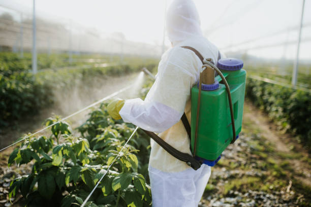 Pest Control Cost in Montpelier, OH